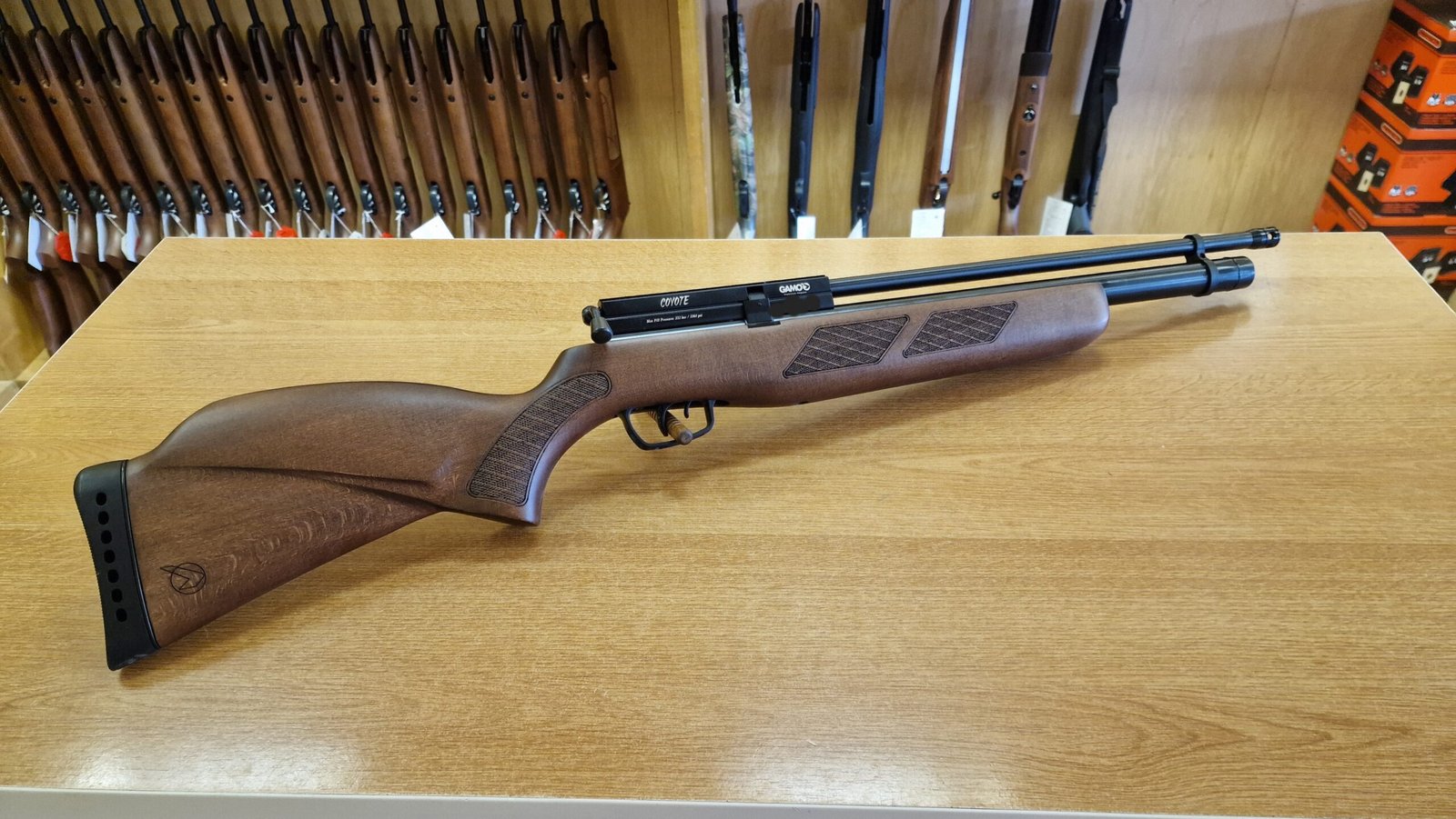 Gamo .22 Coyote Beech (6)